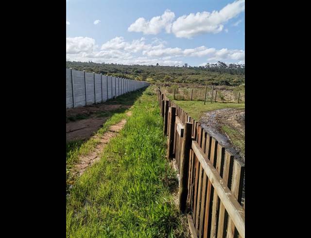 LAND FOR SALE IN ALBERTINIA